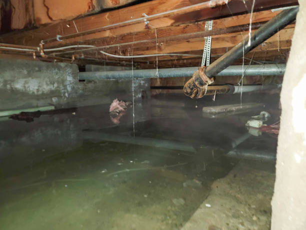 Sewage cleanup and water damage restoration in AZ