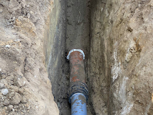 Best Flood restoration services  in St Johns, AZ