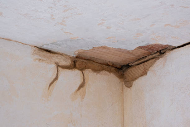 Best Residential water damage restoration  in St Johns, AZ