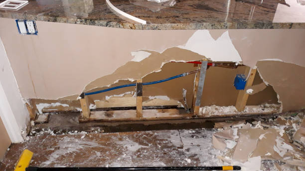 Best Water damage restoration mold remediation  in St Johns, AZ