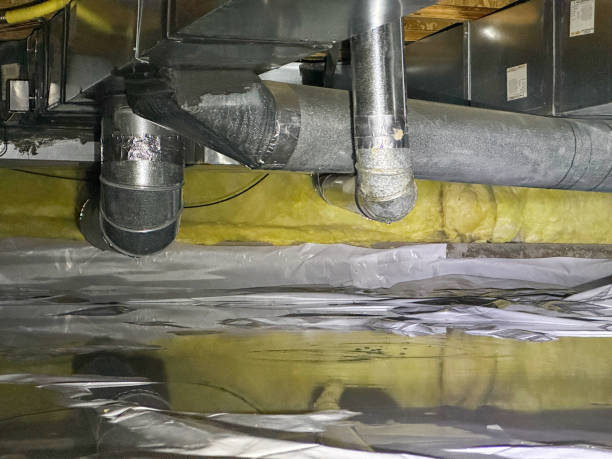 Best Flood damage cleanup  in St Johns, AZ